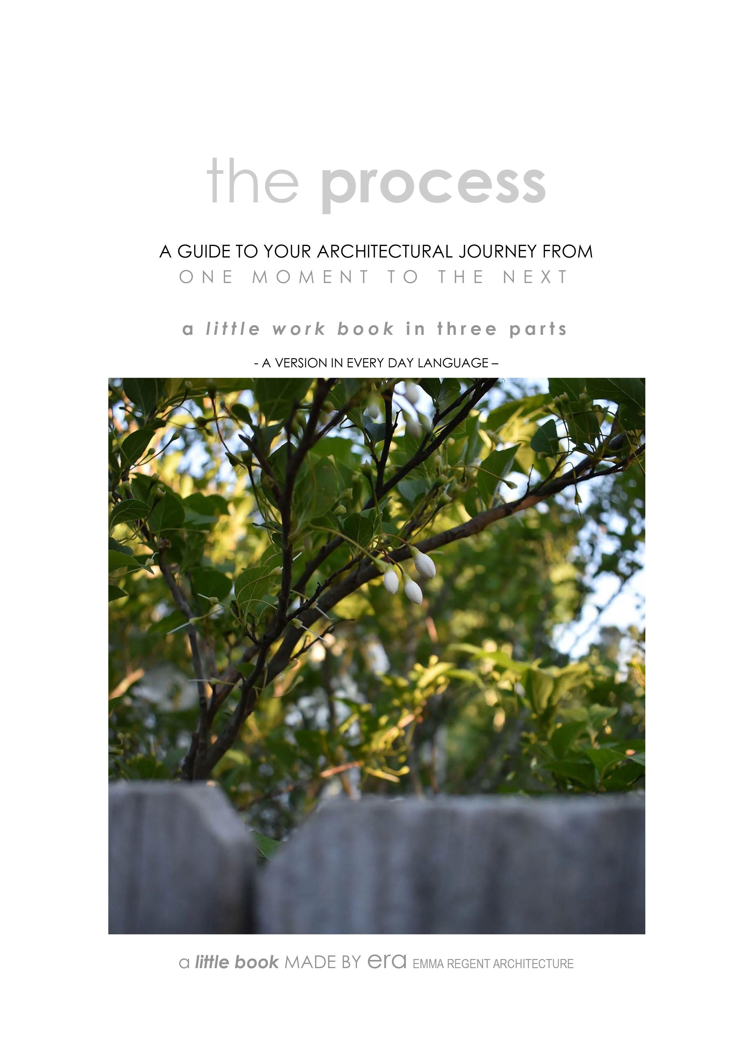 the Process of Architecture