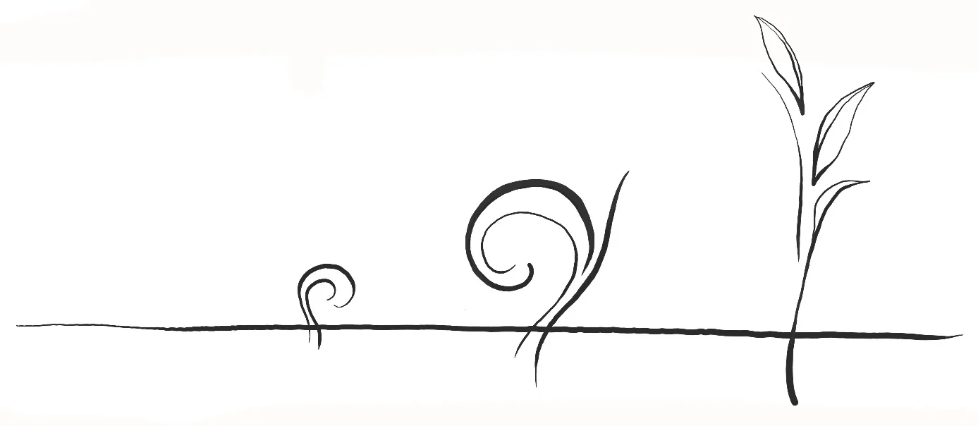 Process.jpg