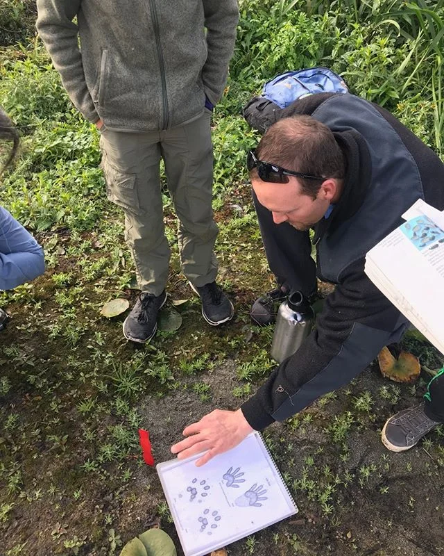 Need a last minute Father's Day Gift? Looking for something to do this Sunday? Interested in learning about the tracks animals make and the signs they leave behind? Join us for our Intro to Wildlife Tracking Class! Take $17 off with code TRACK40 at checkout. We will be meeting at Captain William Clark Regional in Washougal, WA at 9am on June 16th. See you there! #treesongnatureawareness #explorewashington #mycamas #camaswa #washington #pnwnature #washougalriver #washougal #camas #pnwonderland #thatpnwlife #pnwwilderness #pnwlifestyle