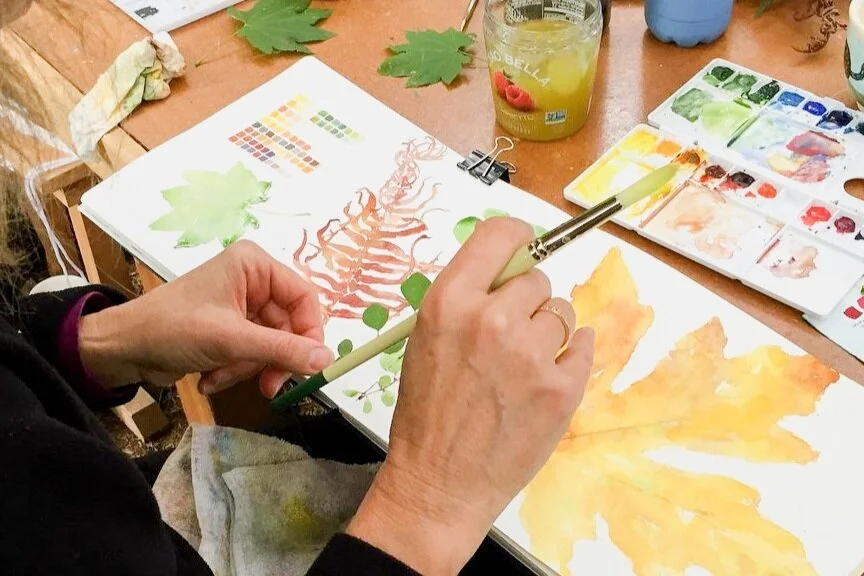 Botanical Art Class October 2020 — Treesong Nature Awareness and