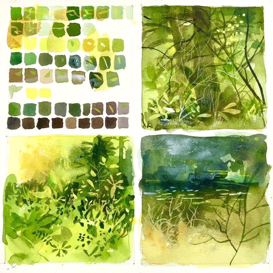 The Artful Field Journal: Painting Spring Landscapes with Watercolor, Part  1 Online Class — Treesong Nature Awareness and Retreat Center