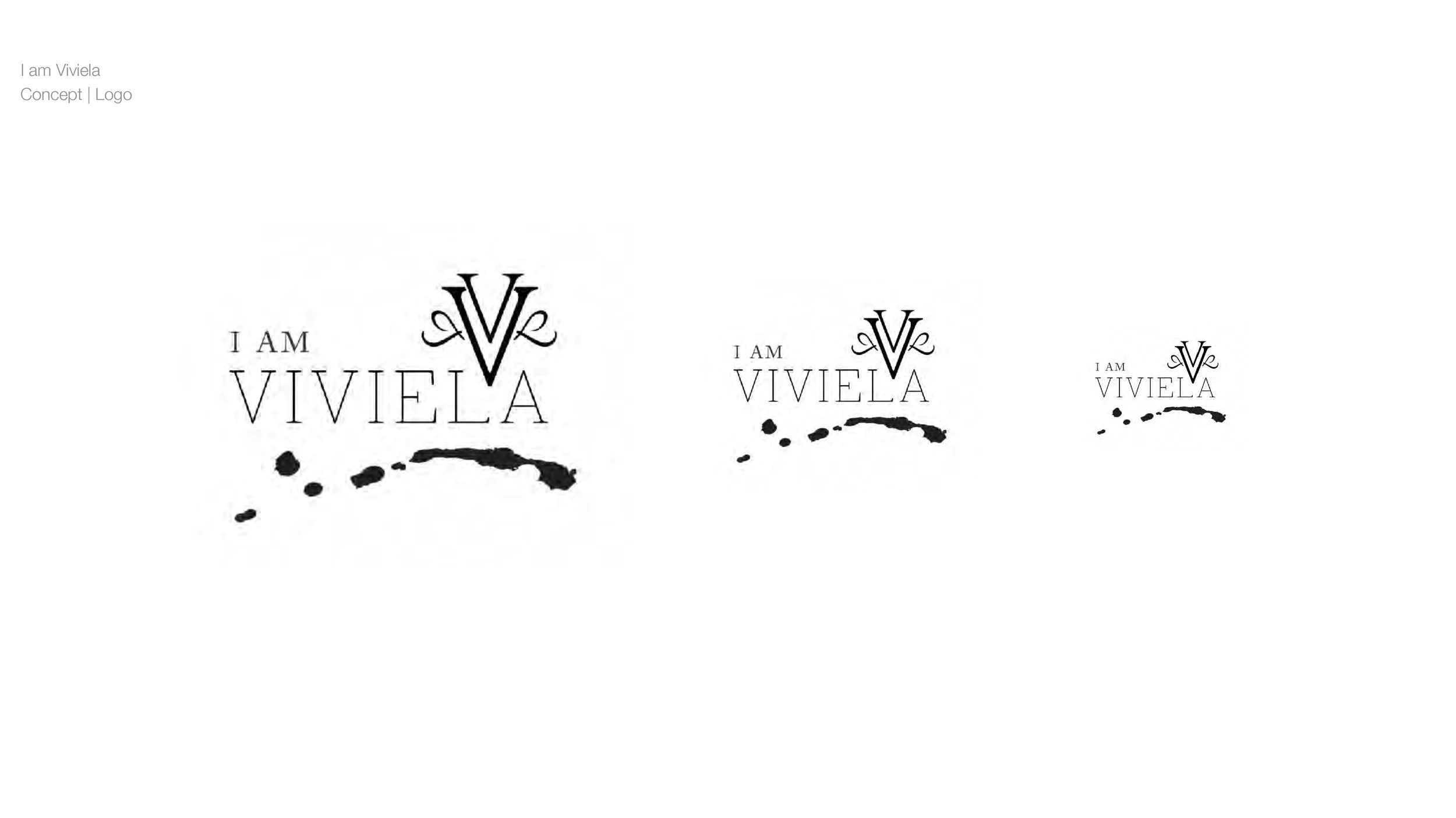 VIVIELA_WIP_DECK_v4_10_1_18_Page_15.jpg