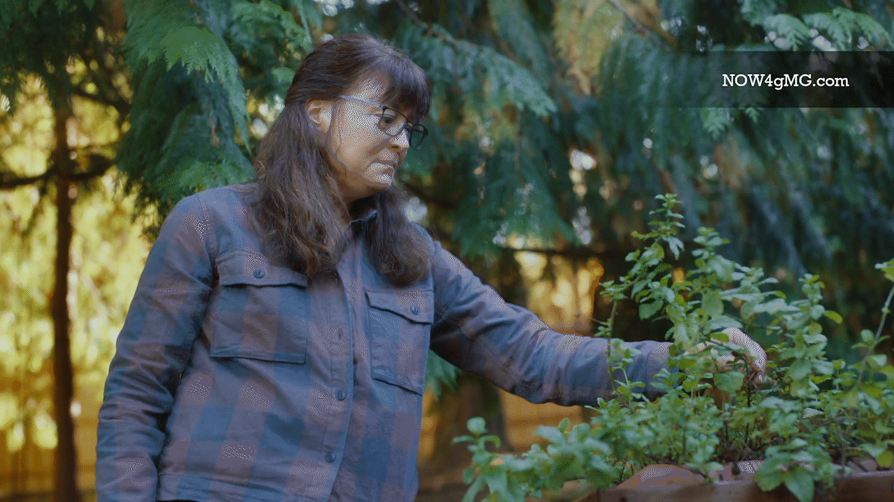 VYVGART Unbranded DTC