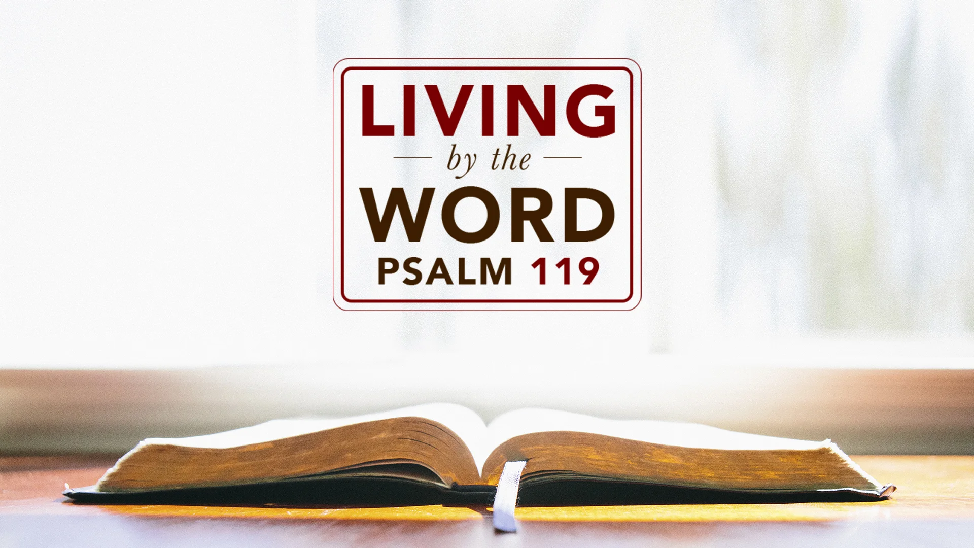 An Introduction and Invitation to Psalm 119