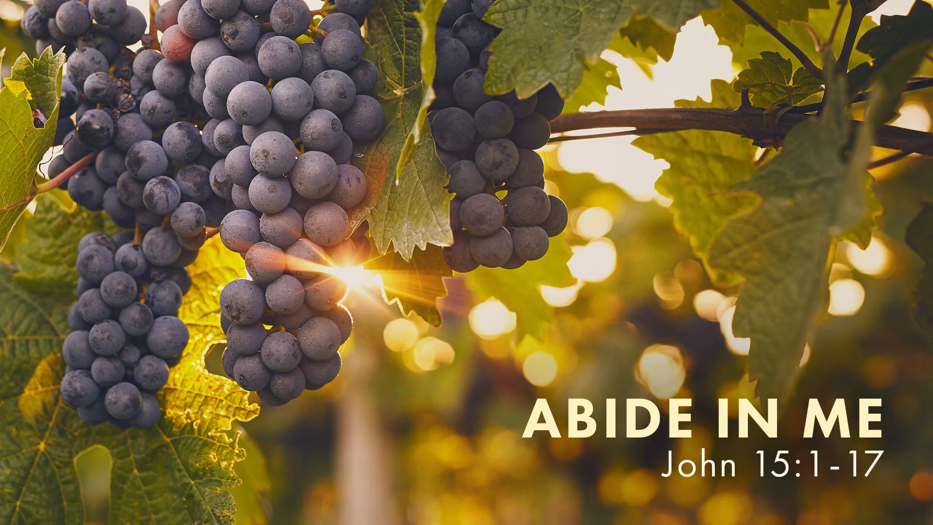 Abide in Me
