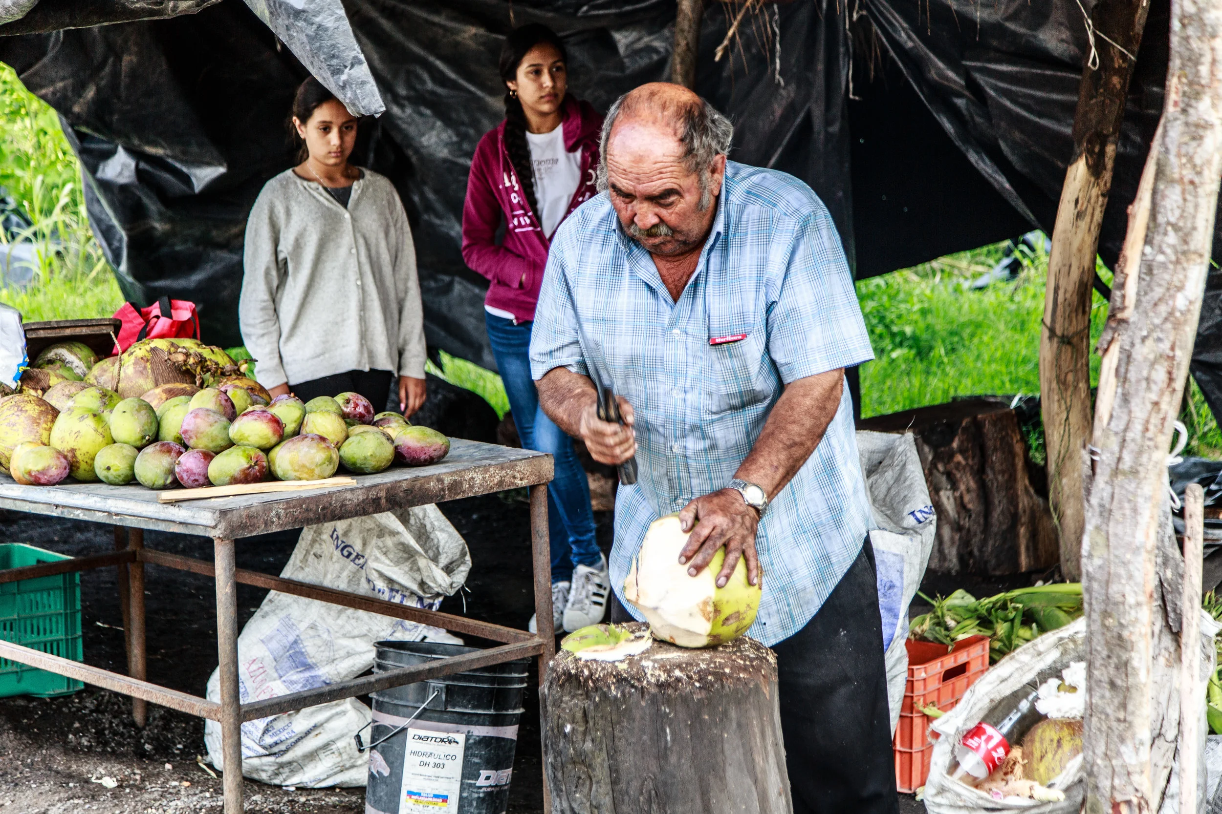 Curcero_Jalisco_Mexico-2.jpg