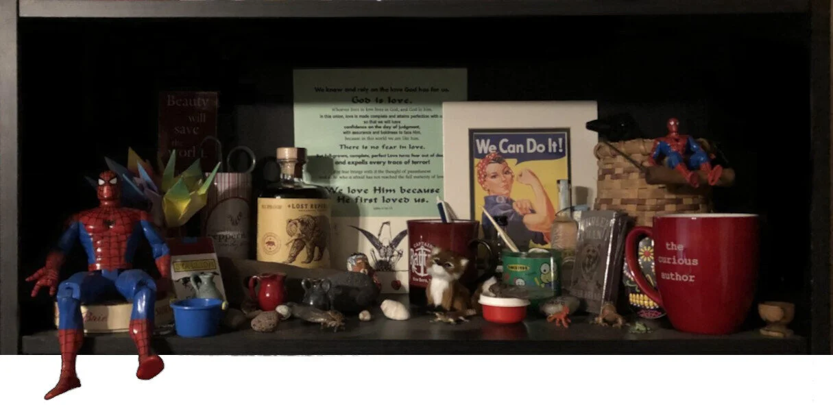 Curiosity Shelf.jpg