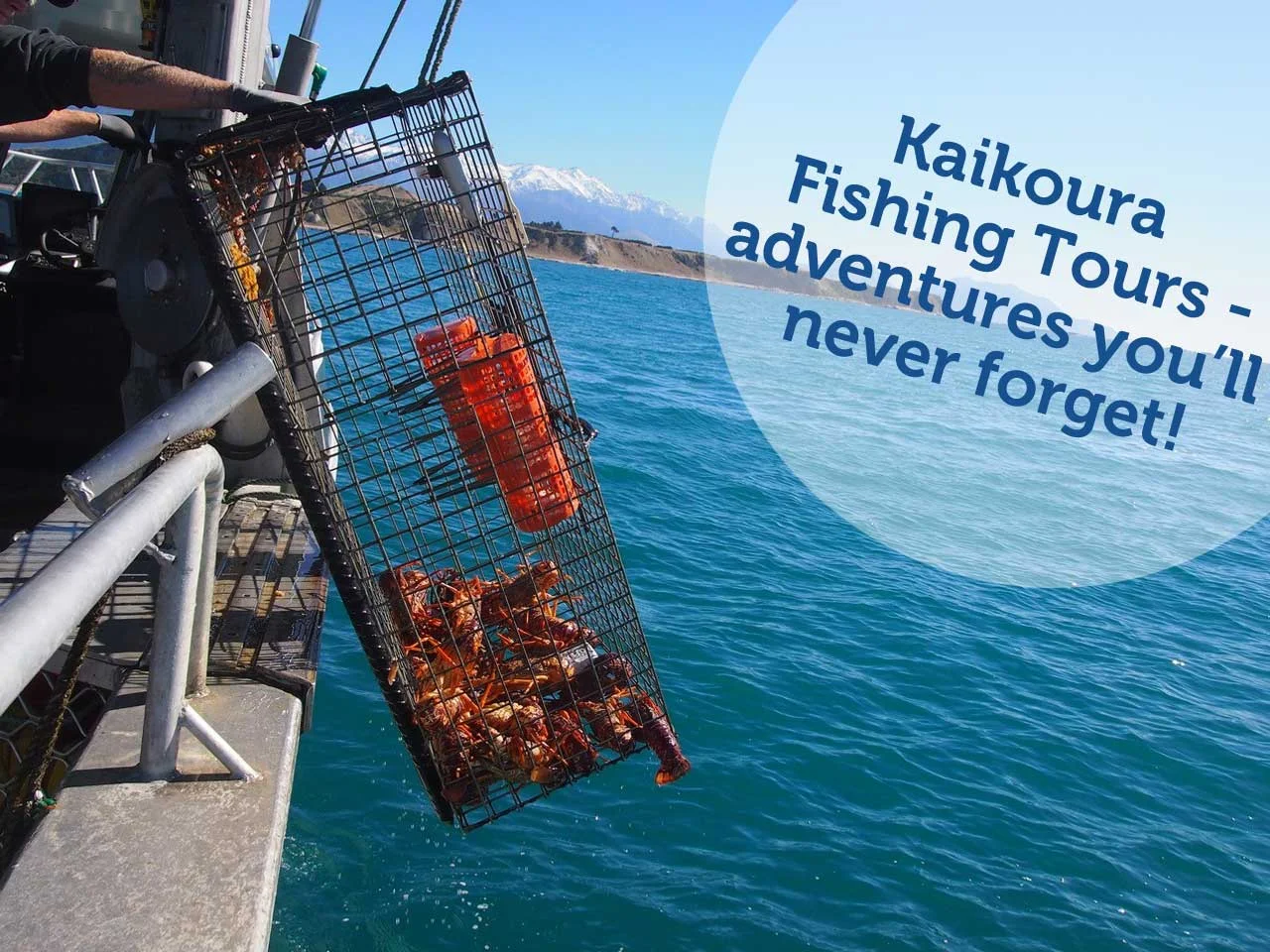 Kaikoura Fishing Tours