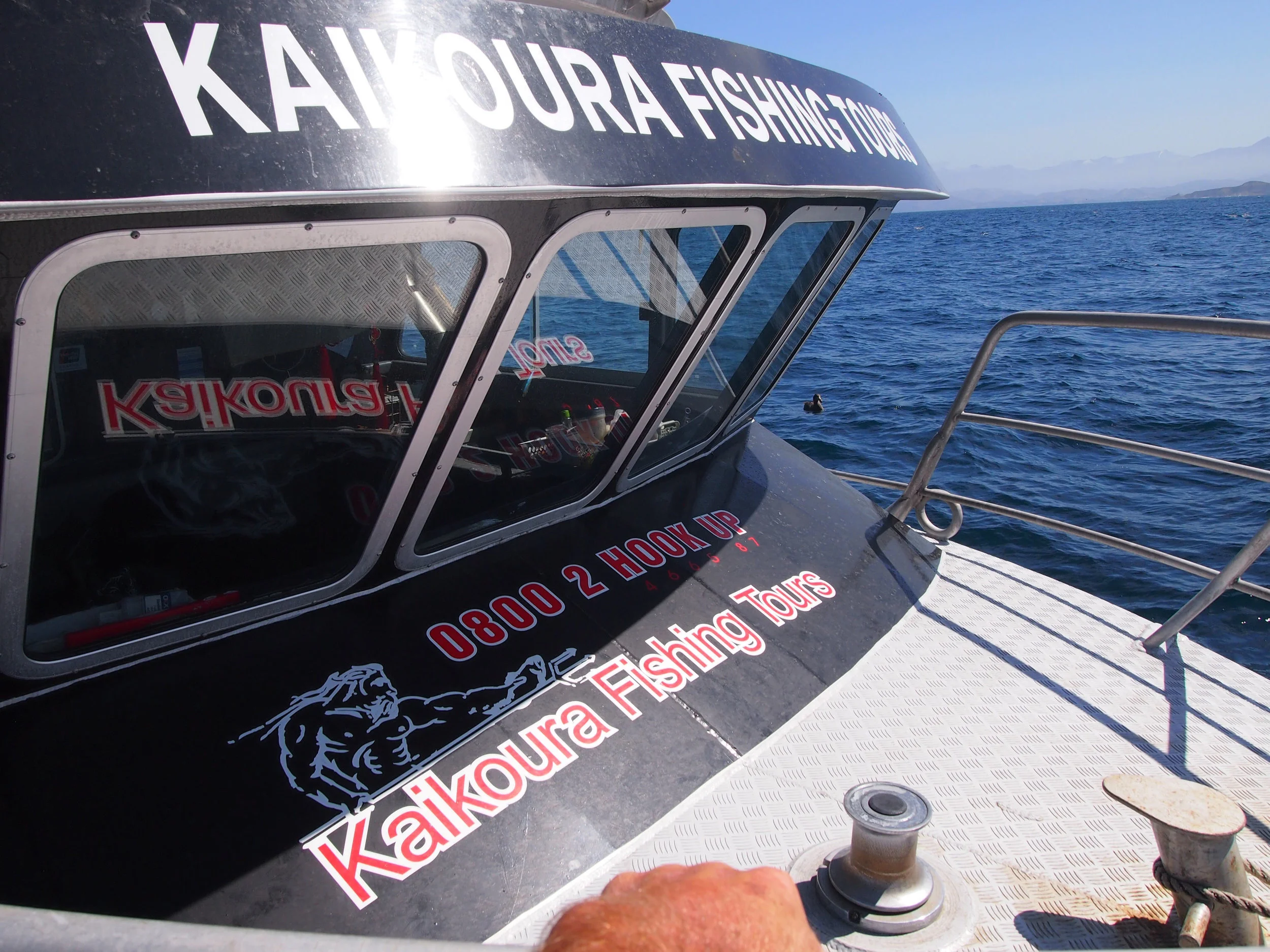 Gallery of Kaikoura Fishing Species Kaikoura Fishing Tours — Kaikoura