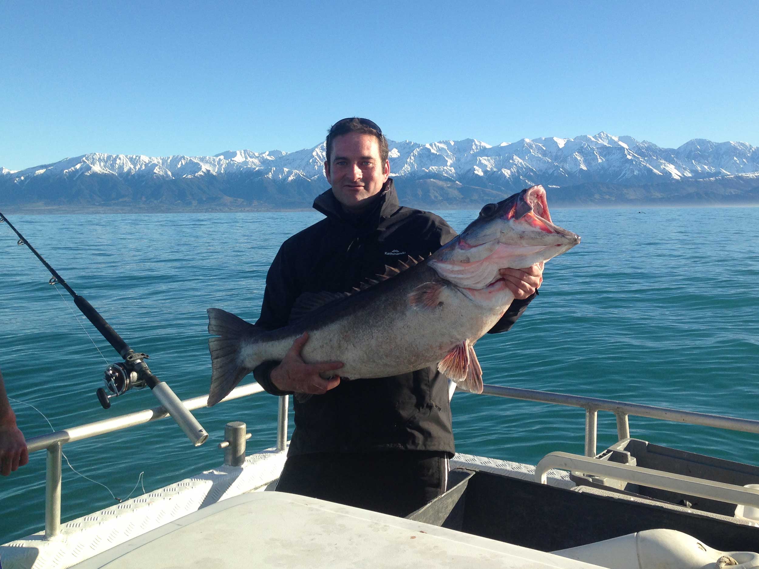 kaikoura fishing tours facebook