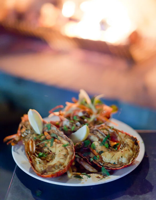 Kaikoura Fishing Charters-17.jpg