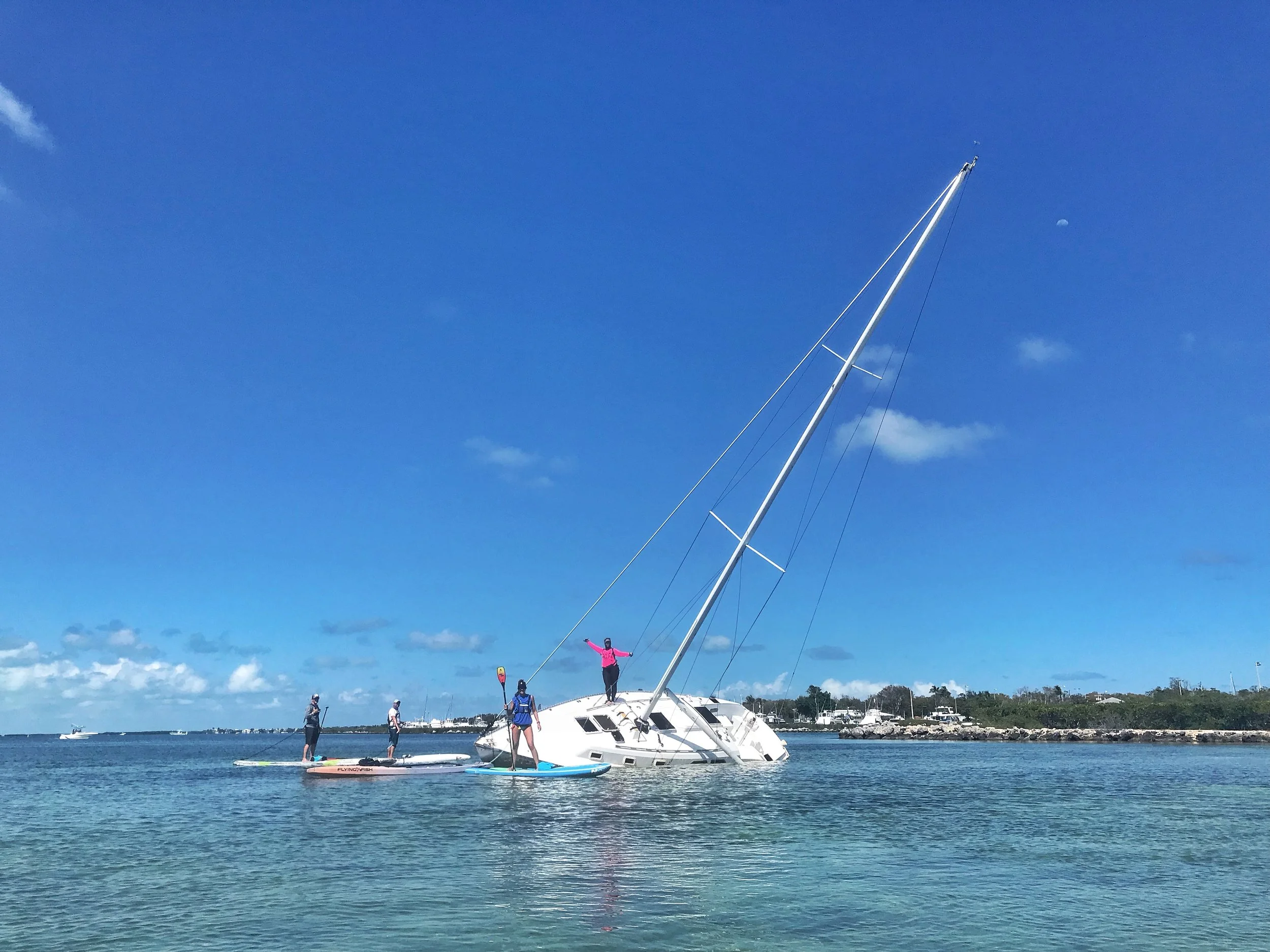 Tavernier Paddle Log