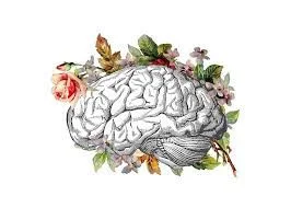 Transforming Bridezilla Workshop & Mini Retreat