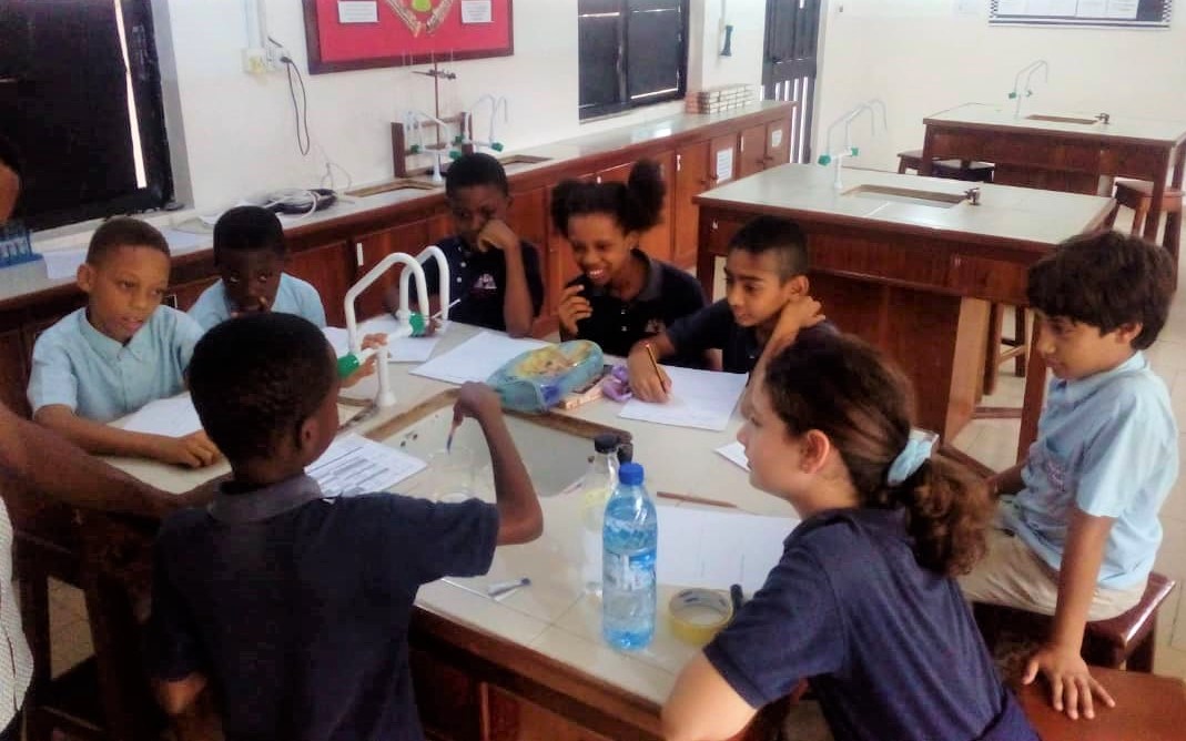 Students of MAD Science Club utilized their observation skills to identify how different indicators are used to determine if a solution is acid or base.