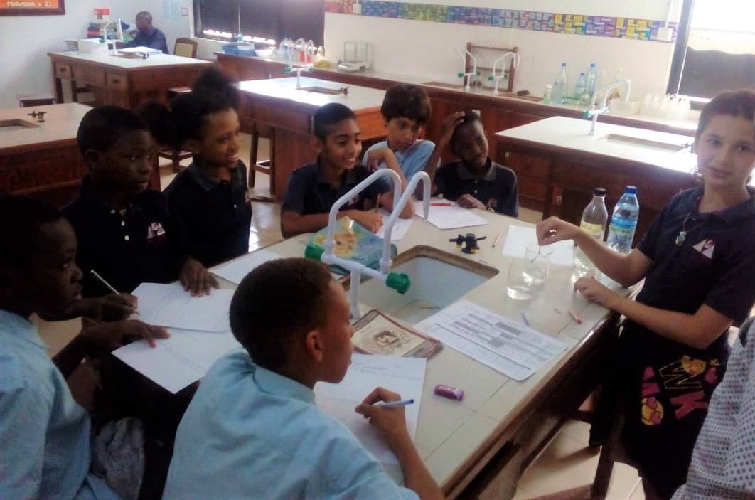 Students of MAD Science Club utilized their observation skills to identify how different indicators are used to determine if a solution is acid or base.