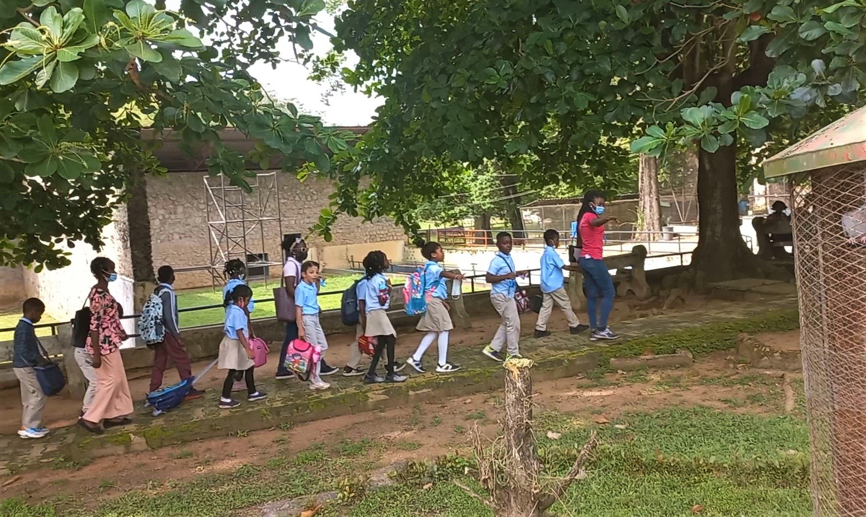 2nd graders took a WILD trip to the Zoological Gardens at the University of Ibadan! 