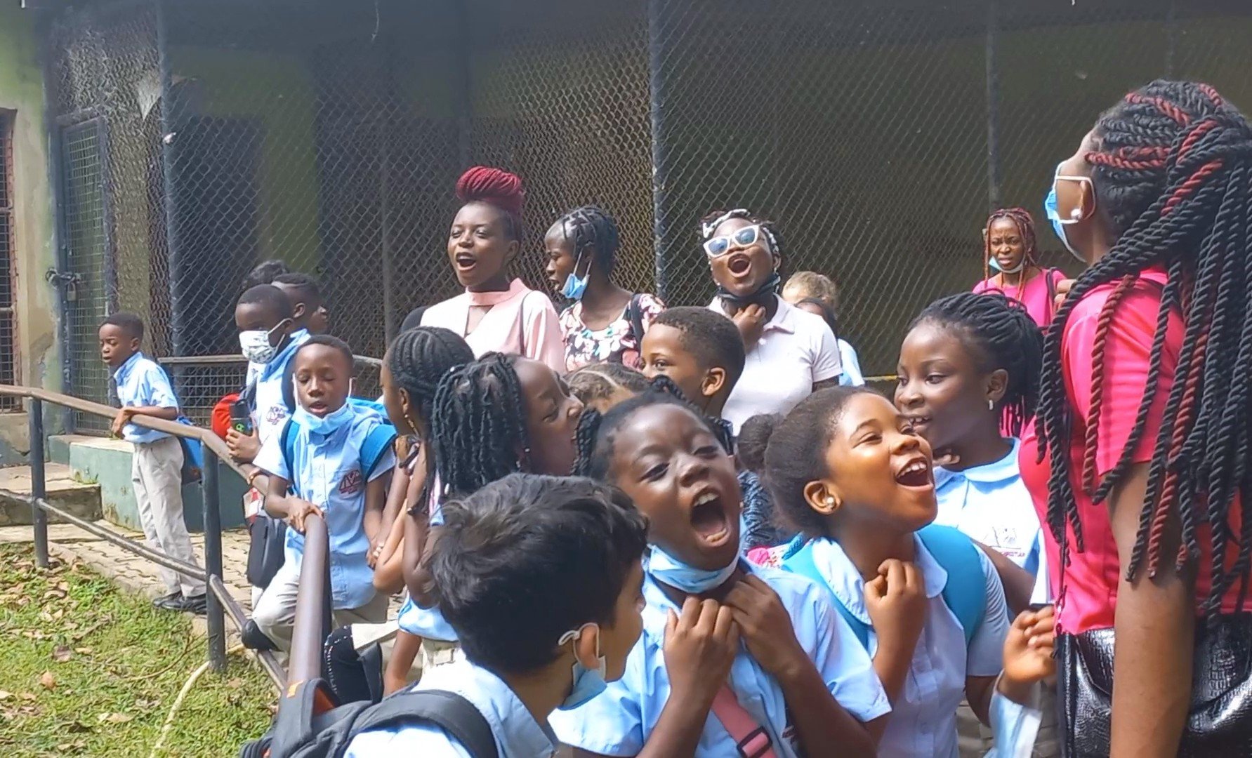  2nd graders took a WILD trip to the Zoological Gardens at the University of Ibadan! 