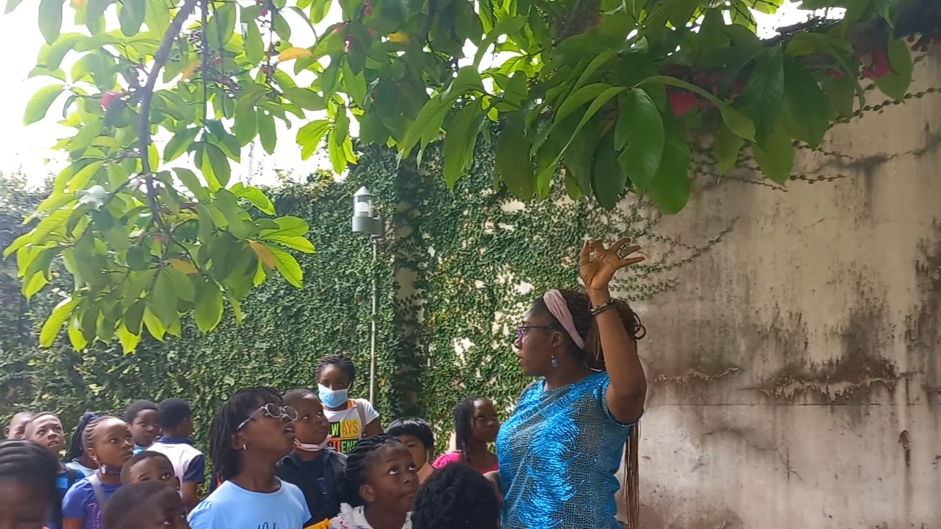  Ms. Jesutomi’s 3rd grade class explored ACA’s campus to discover the various types of plants we have growing all around us! 