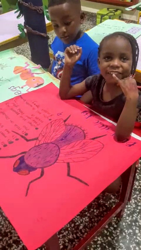  PreKg science projects: bugs! 