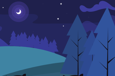 MEDDLING ADULTS: LIVE!