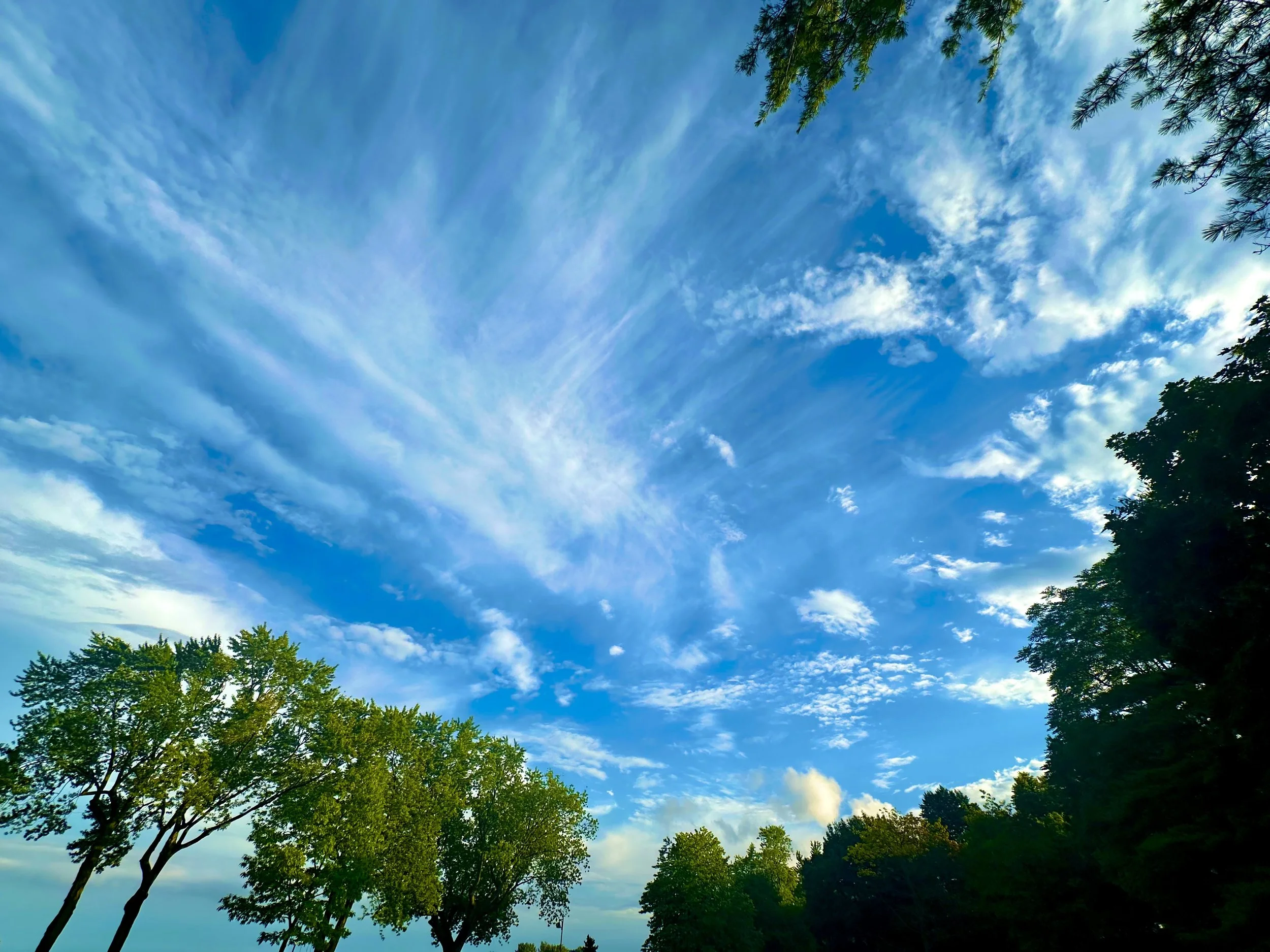 Big Blue Sky