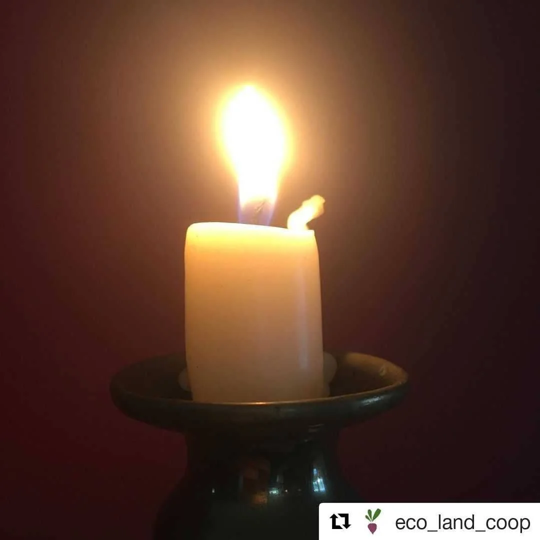#Repost @eco_land_coop
・・・
Standing with Farmers in India. 🕯

India's farmers have been protesting for months against legislation favouring industrialisation and corporate control of the agricultural sector. They are fighting for affordable food, to