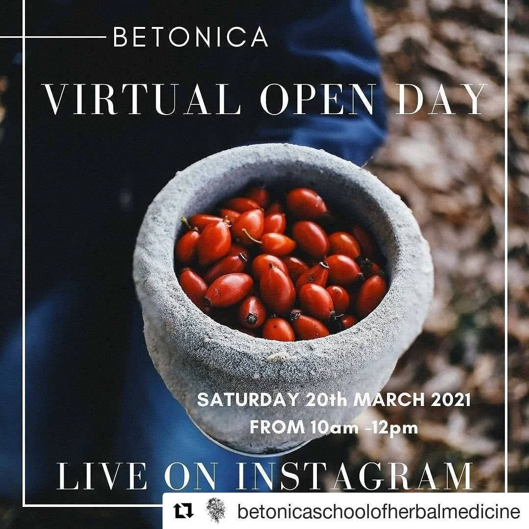 #Repost @betonicaschoolofherbalmedicine
・・・
VIRTUAL OPEN DAY  Saturday 20th March 2021 from 10am - 12pm
.
Betonica's course leader, Helen Kearney  and Kim Walker, one of Betonica&rsquo;s teachers and head of Personal Tutors will hosting our Virtual O
