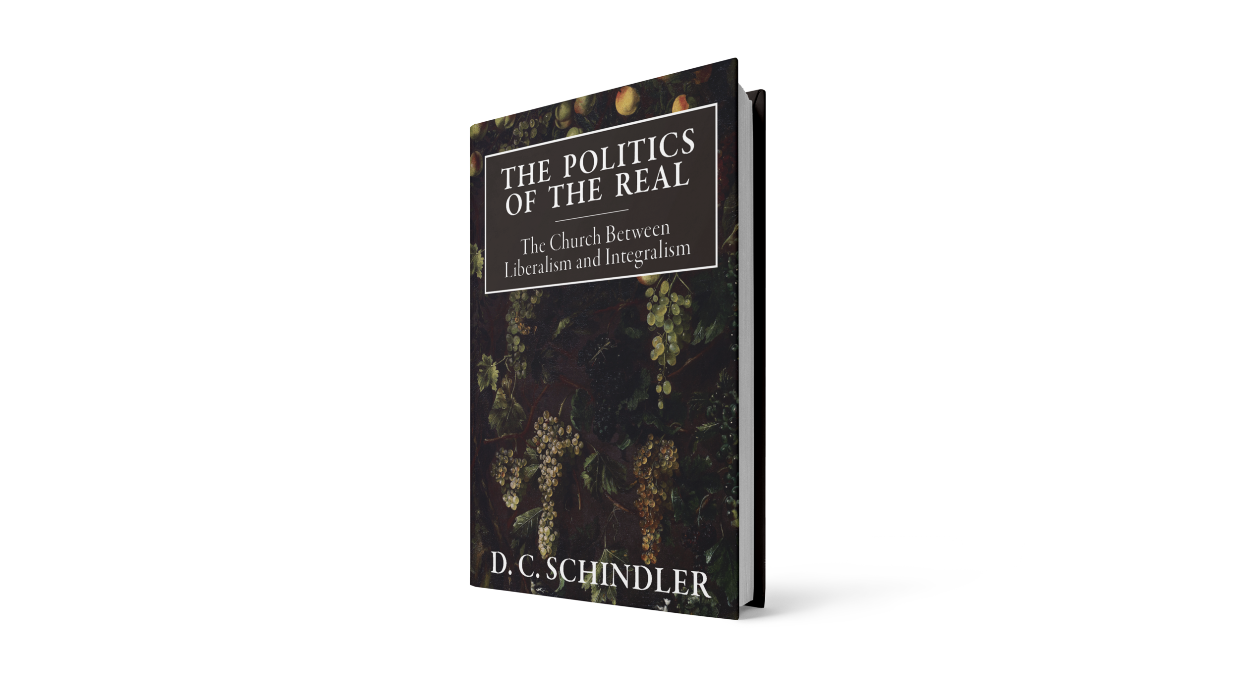 The Politics of the Real - Hardcover