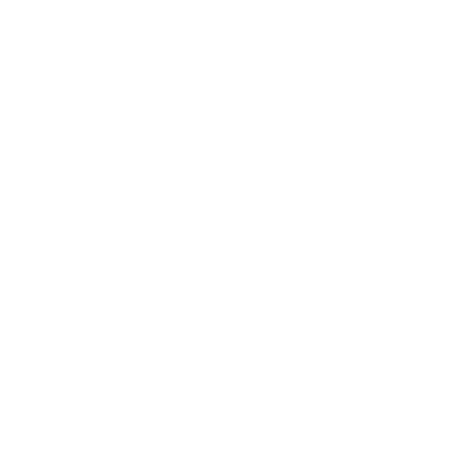 The Ameralis Team 