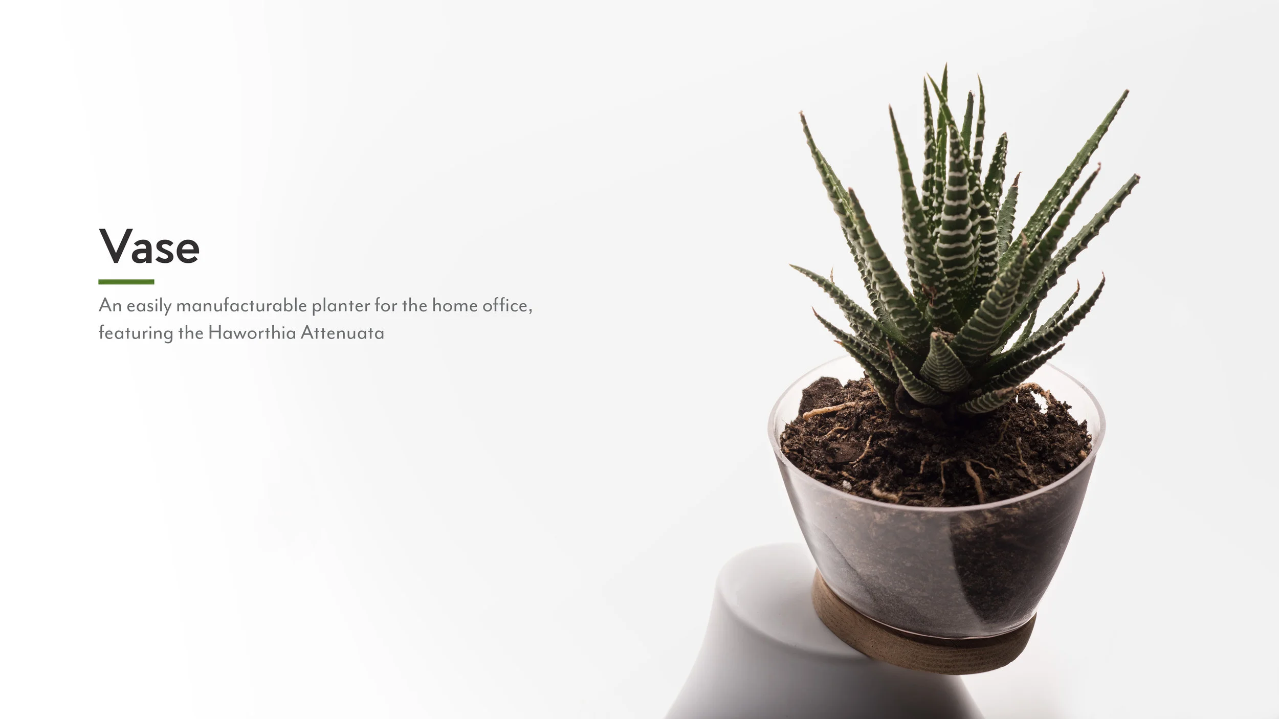 plant opener test edit 2.jpg