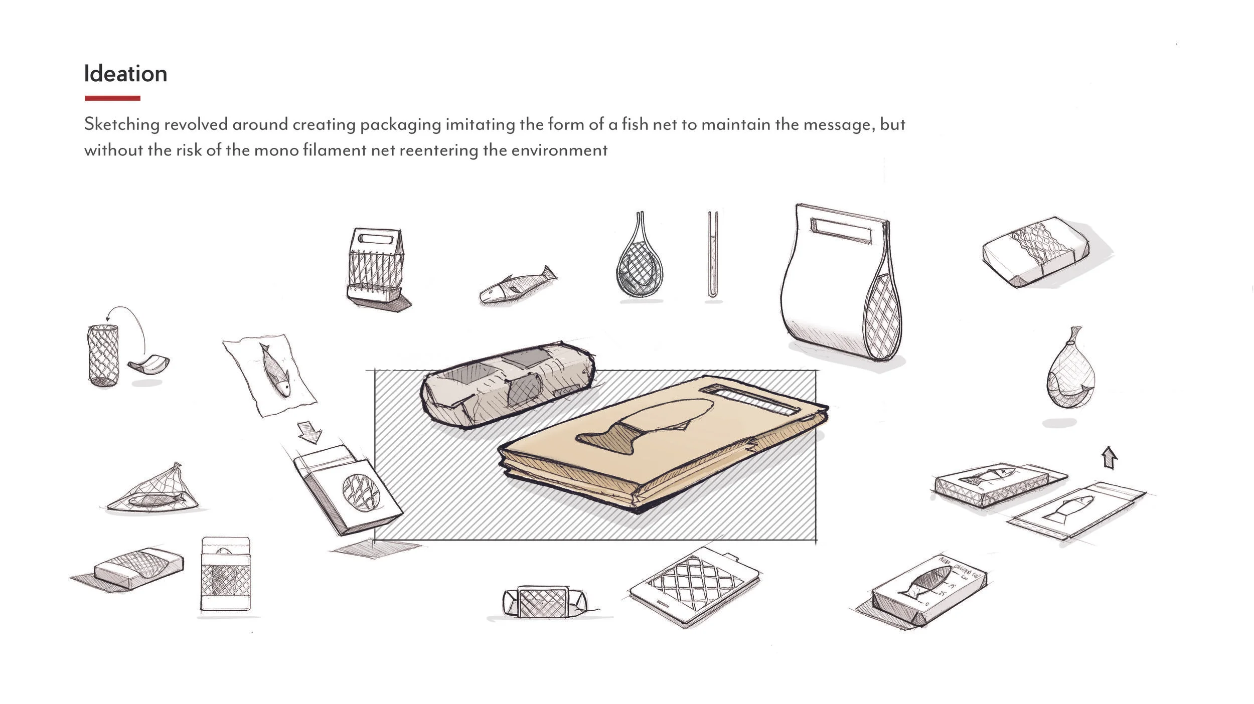 Sketch page Fish package.jpg