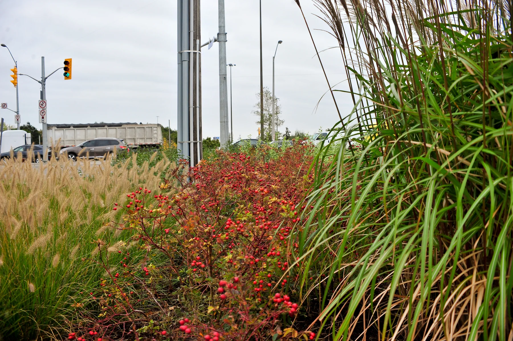 18_HoHTGC-101317-10.jpg