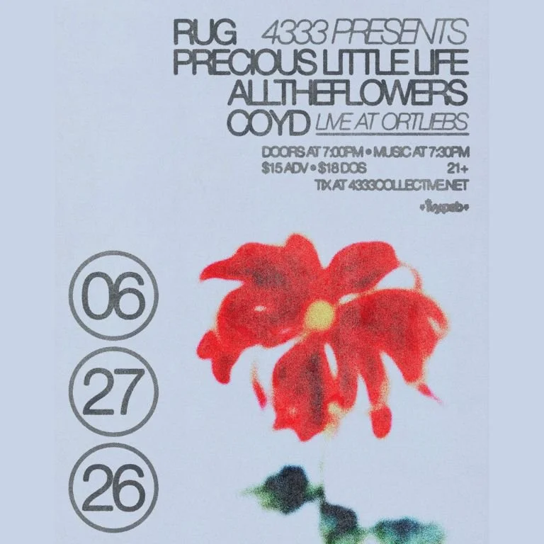 Rug, Precious Little Life, Alltheflowers, and Coyd