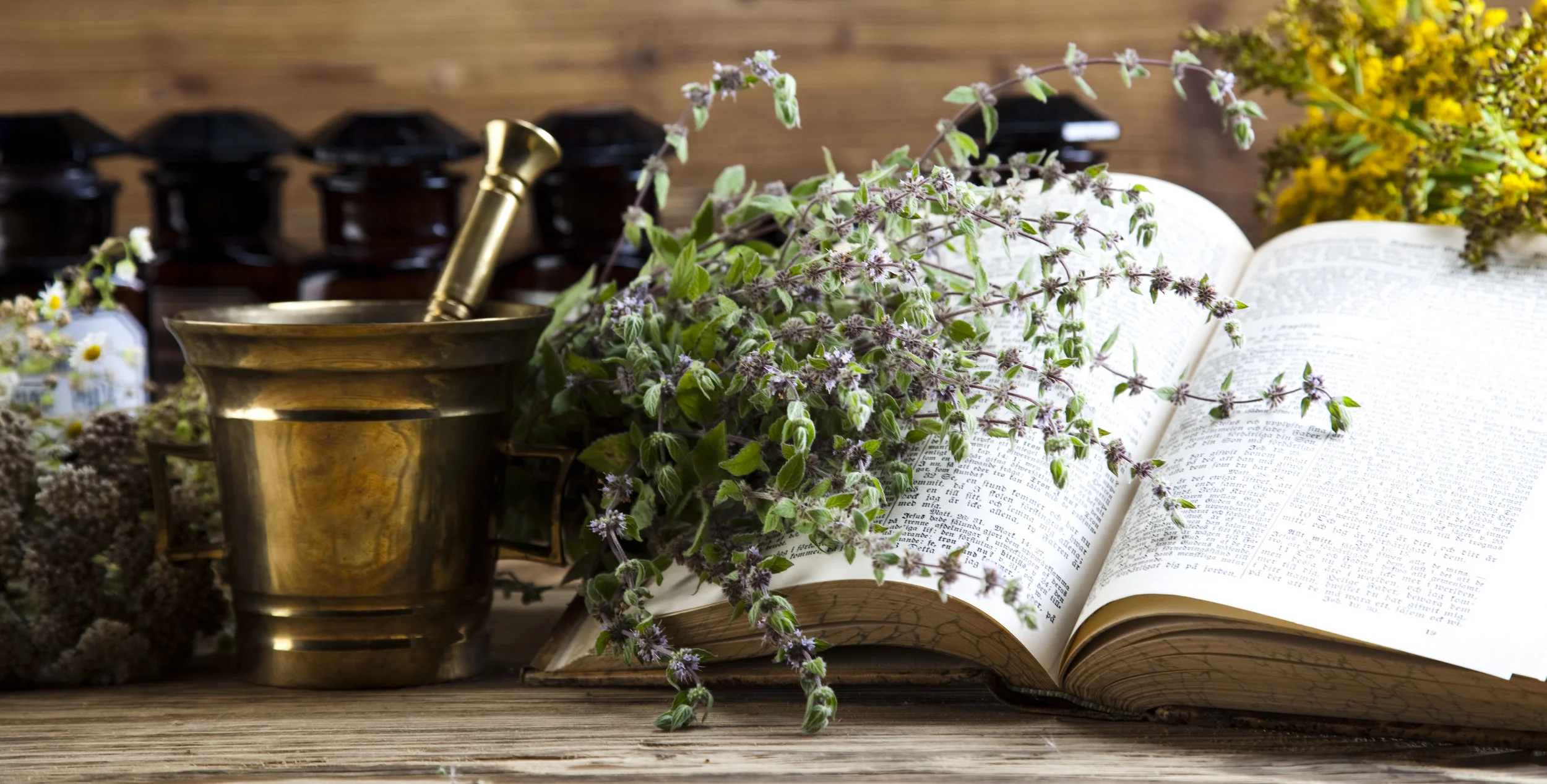 AdobeStock_69574115.jpeg