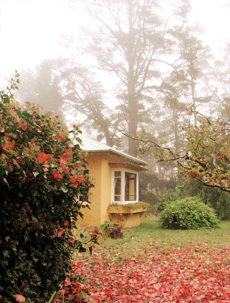 Varuna-garden.jpg