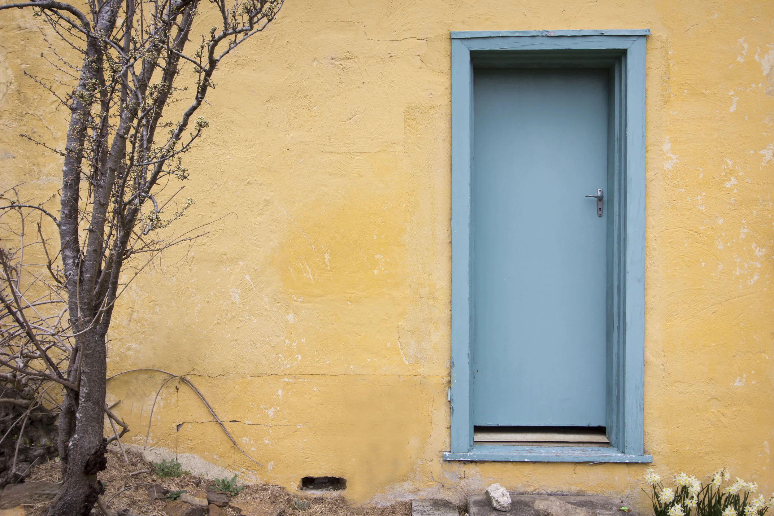 2019 Publisher Introduction Program Fellowships