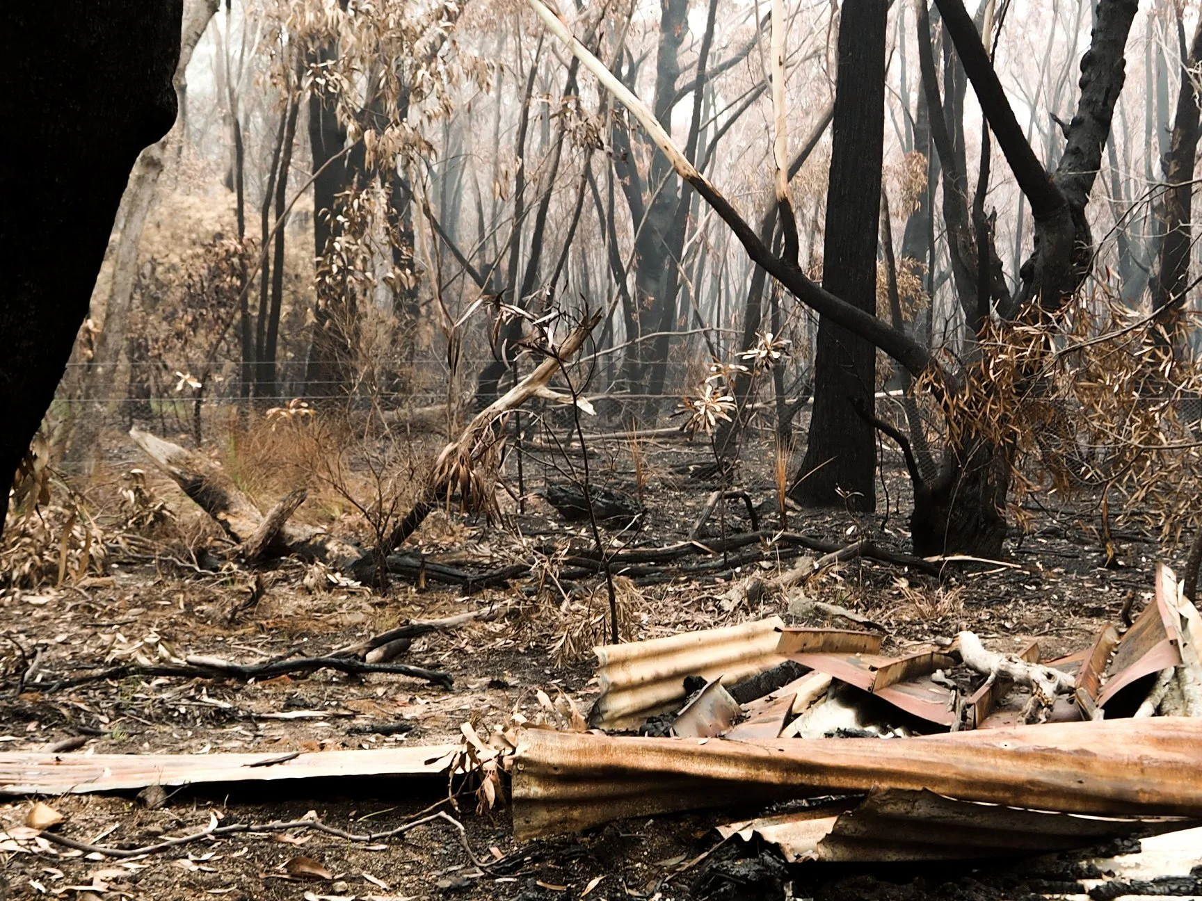 Writing Fire, Writing Drought Fellowships Announced