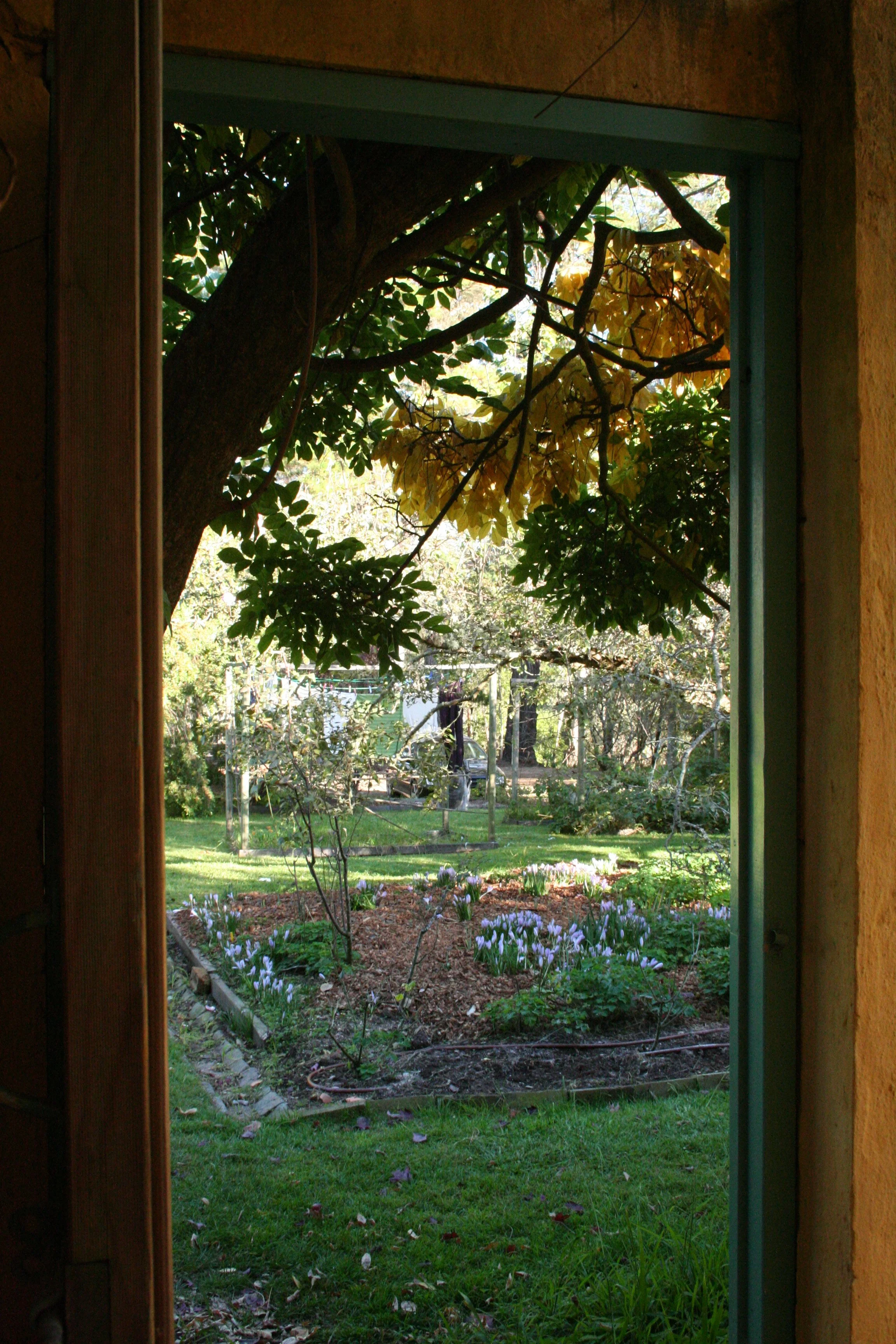 Varuna2007 225 GARDEN.jpg