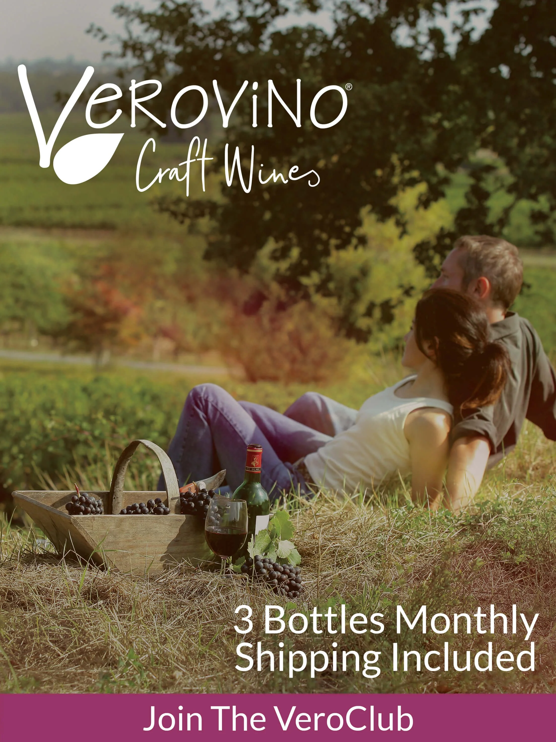 Wine Tasting Sets and Wine Gift Baskets of Artisan Wines and Olive Oils