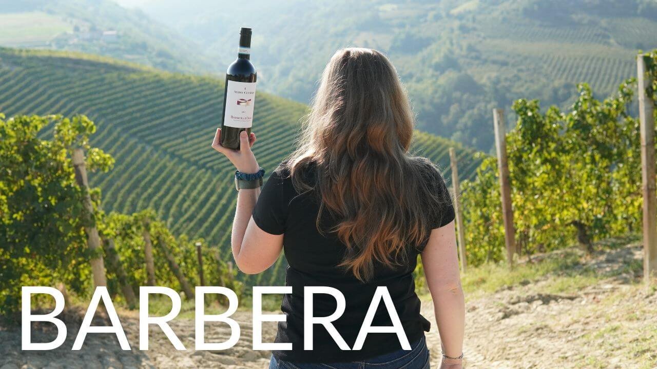 About Barbera.jpg