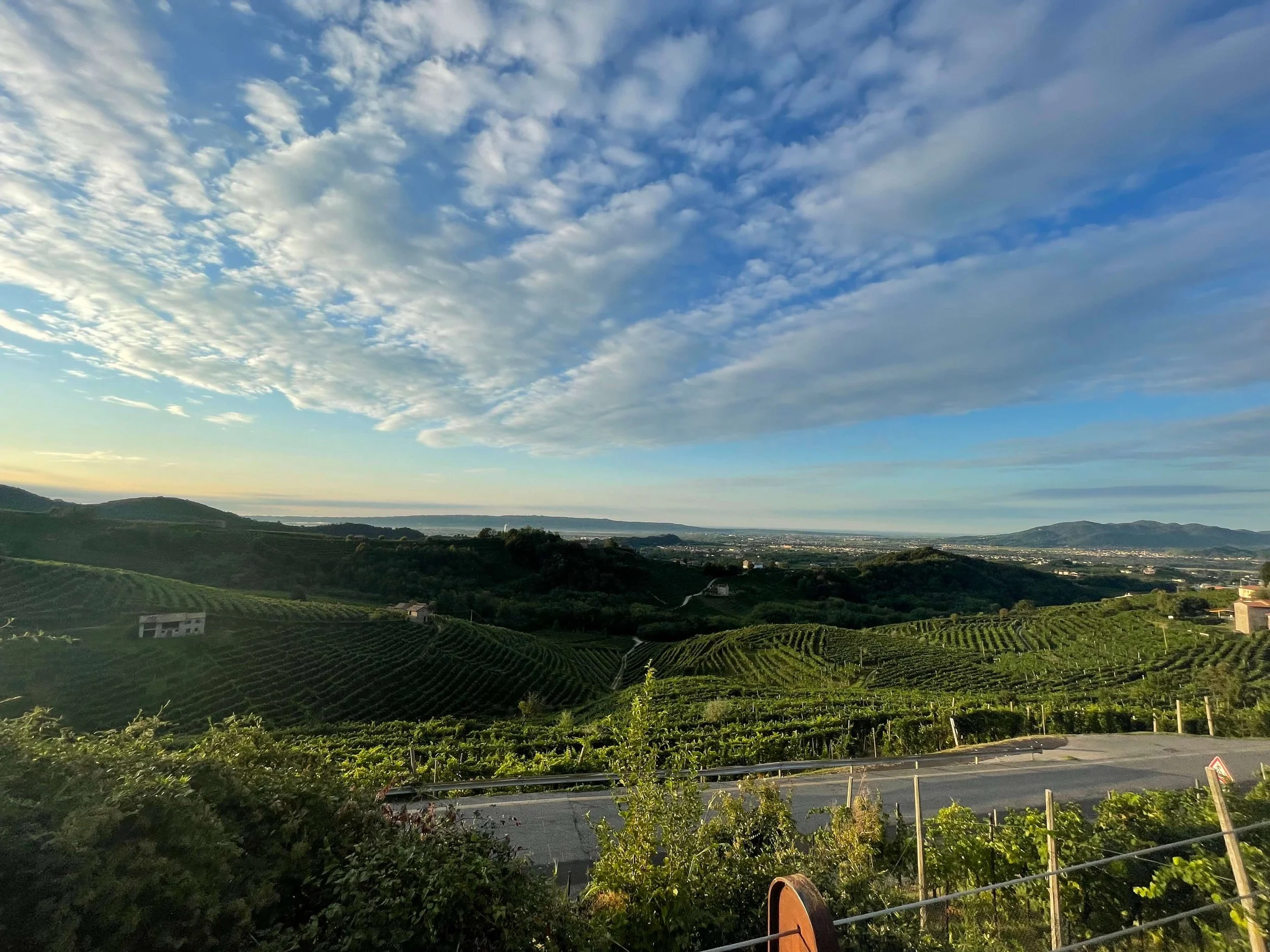 In Search of Quality Prosecco