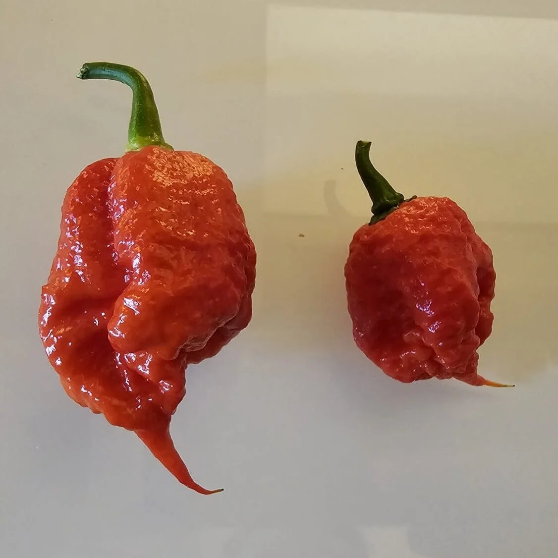 5 Wine Pairing Rules That Actually Work With Spicy Food