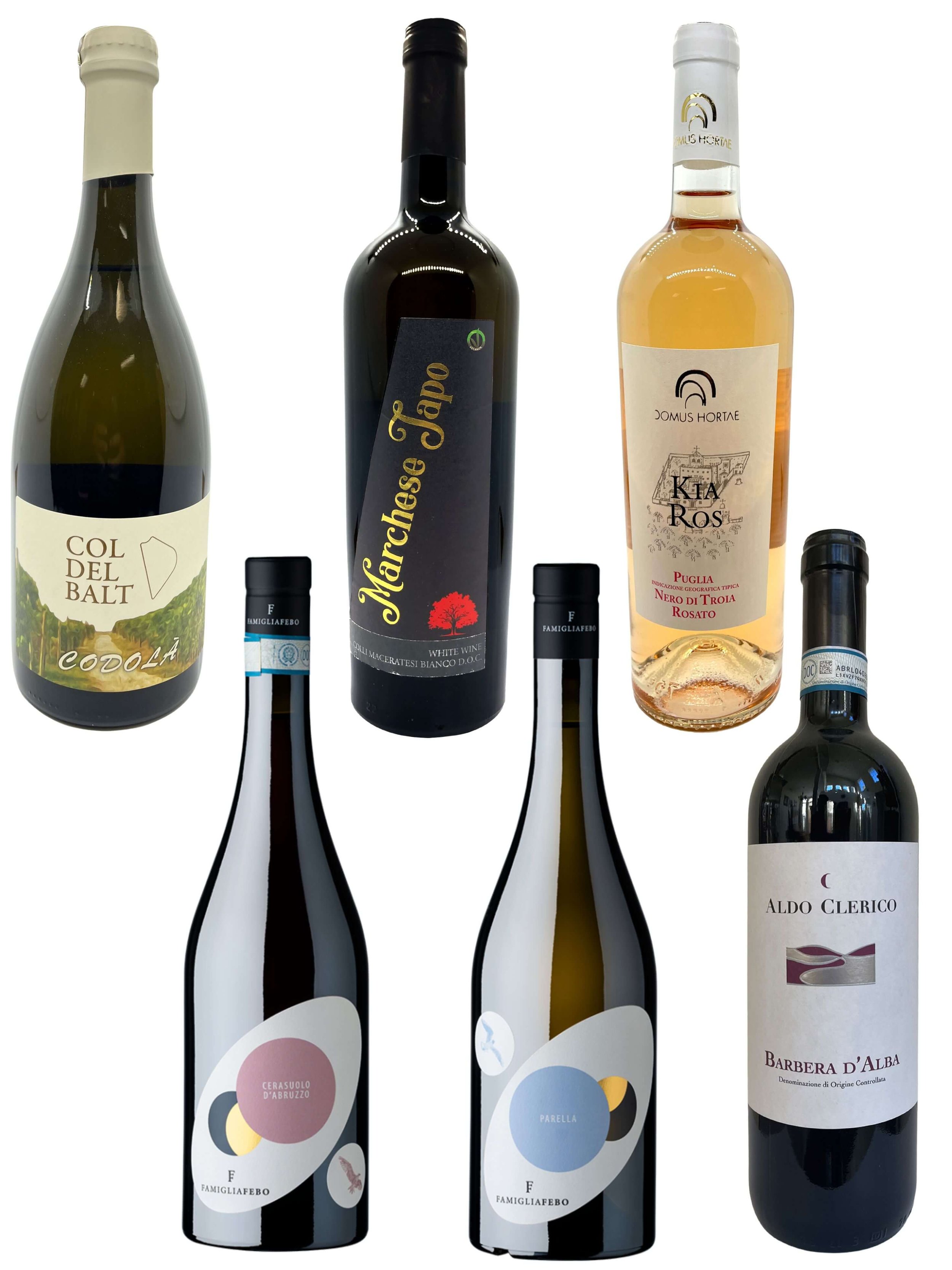 VeroVino 6-Pack Italian Wine Tasting Sampler Shipping Included