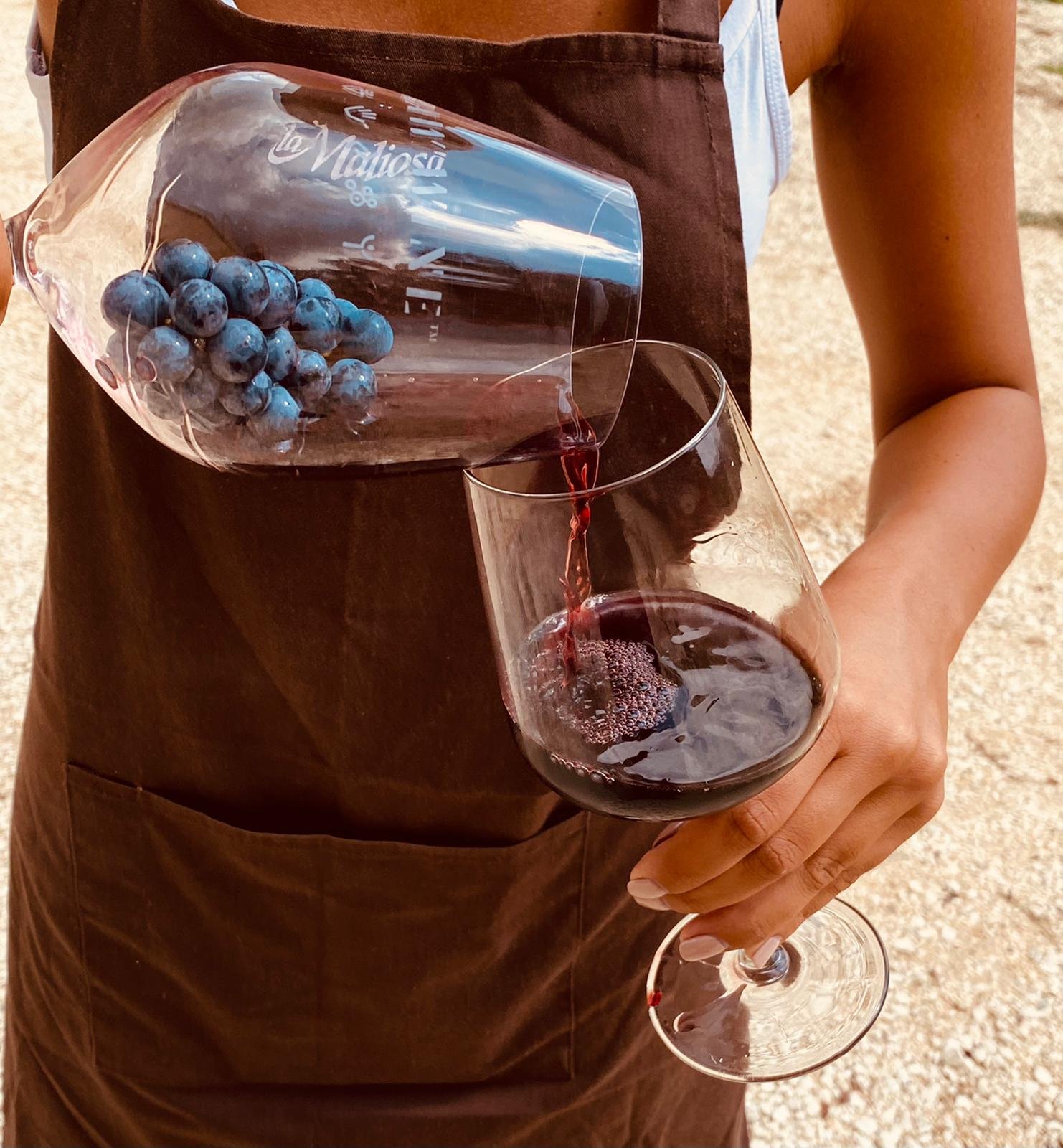 Wine and Wellness: A Winemaker's Evidence-Based Approach to