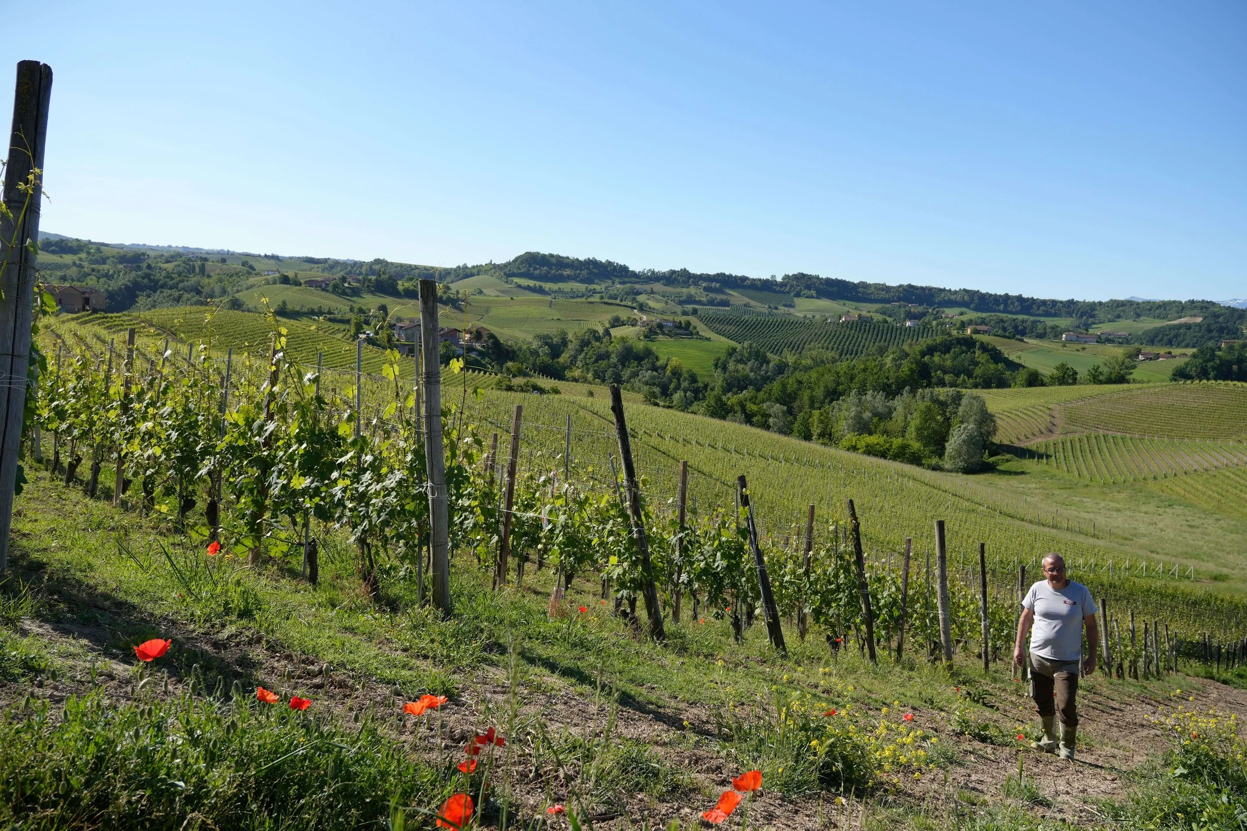 The Wines of Aldo Clerico, as Told by Aldo Clerico