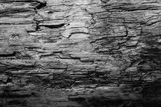 texture-2665996_640.jpg