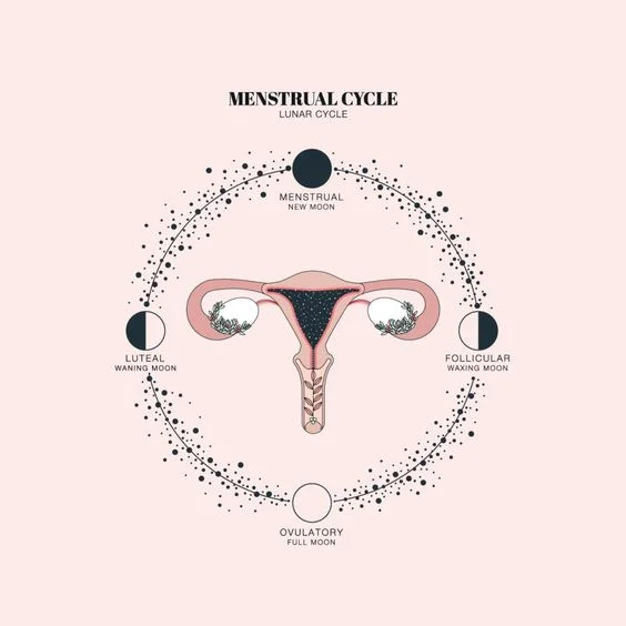 menstrual.jpg