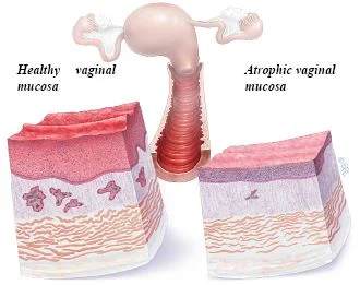 011_Figure1.jpg