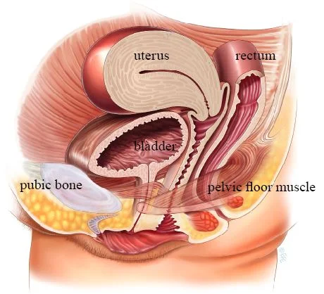 017_Figure1.jpg