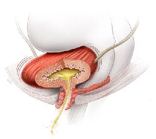 016_Figure3.jpg